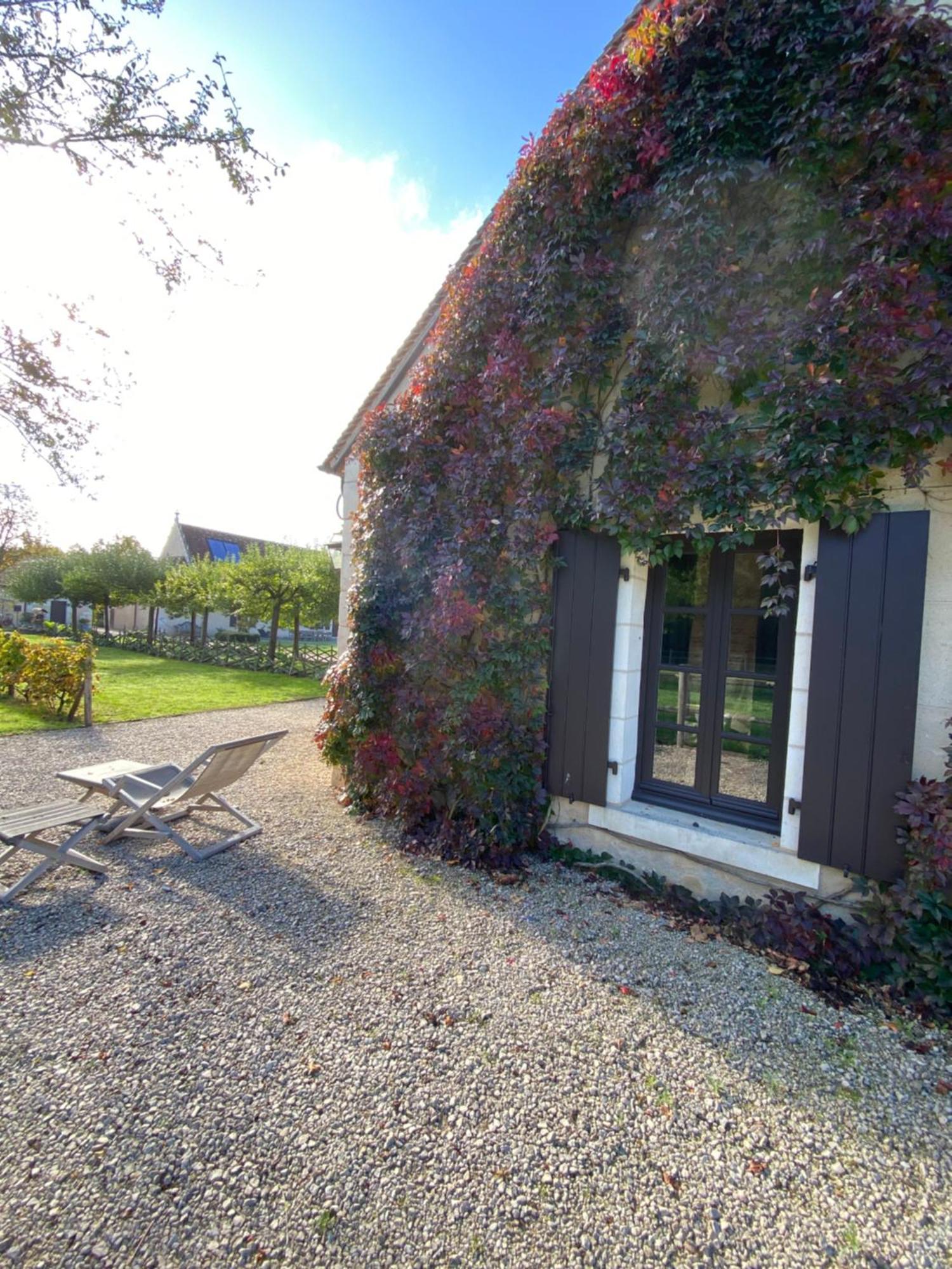 Domaine De Poulaines Pres Valencay Val De Loire Berry Villa Dış mekan fotoğraf